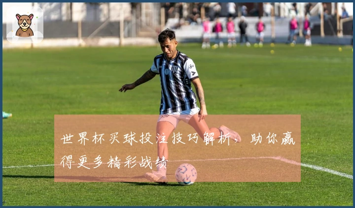世界杯买球投注技巧解析，助你赢得更多精彩战绩