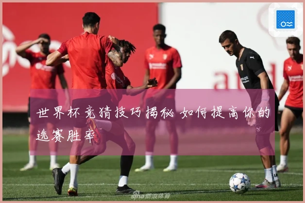 世界杯竞猜技巧揭秘 如何提高你的选赛胜率