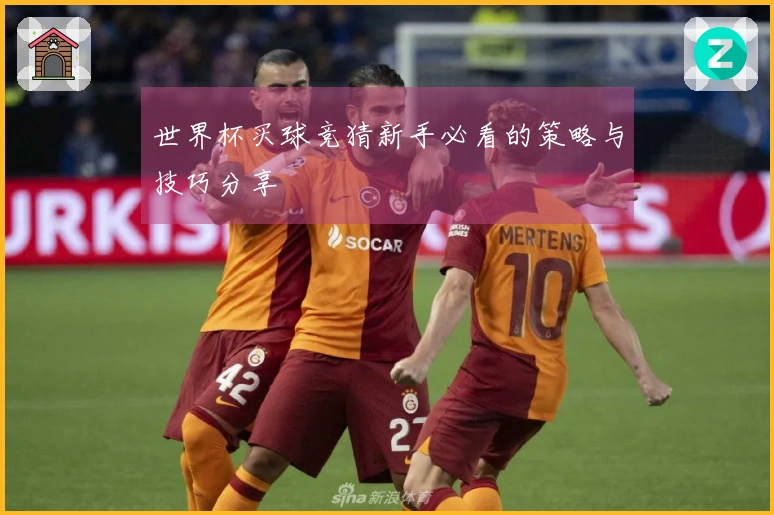 世界杯买球竞猜新手必看的策略与技巧分享