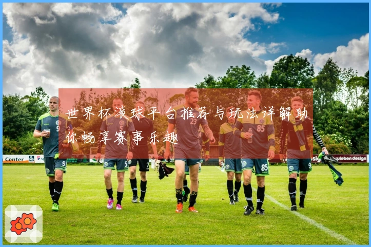 世界杯滚球平台推荐与玩法详解助你畅享赛事乐趣
