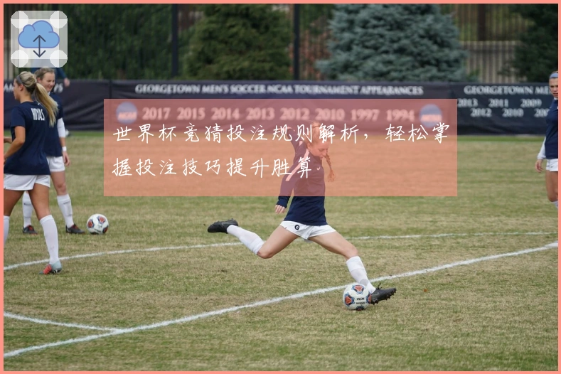 世界杯竞猜投注规则解析，轻松掌握投注技巧提升胜算