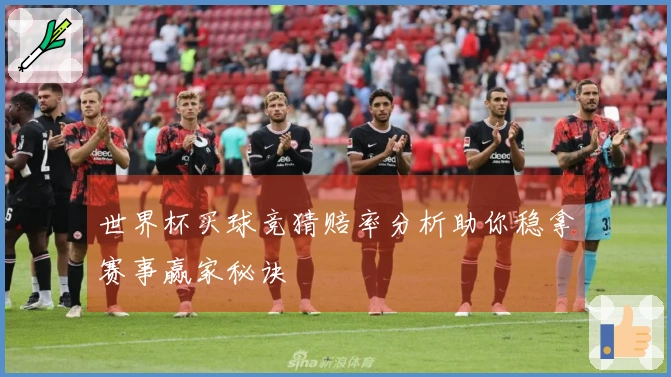 世界杯买球竞猜赔率分析助你稳拿赛事赢家秘诀
