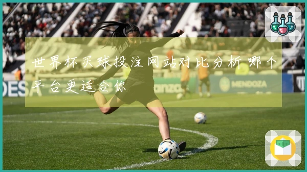 世界杯买球投注网站对比分析 哪个平台更适合你