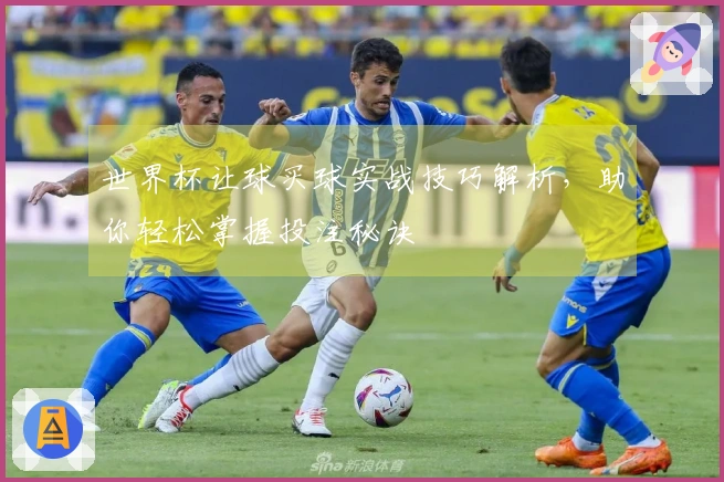世界杯让球买球实战技巧解析，助你轻松掌握投注秘诀